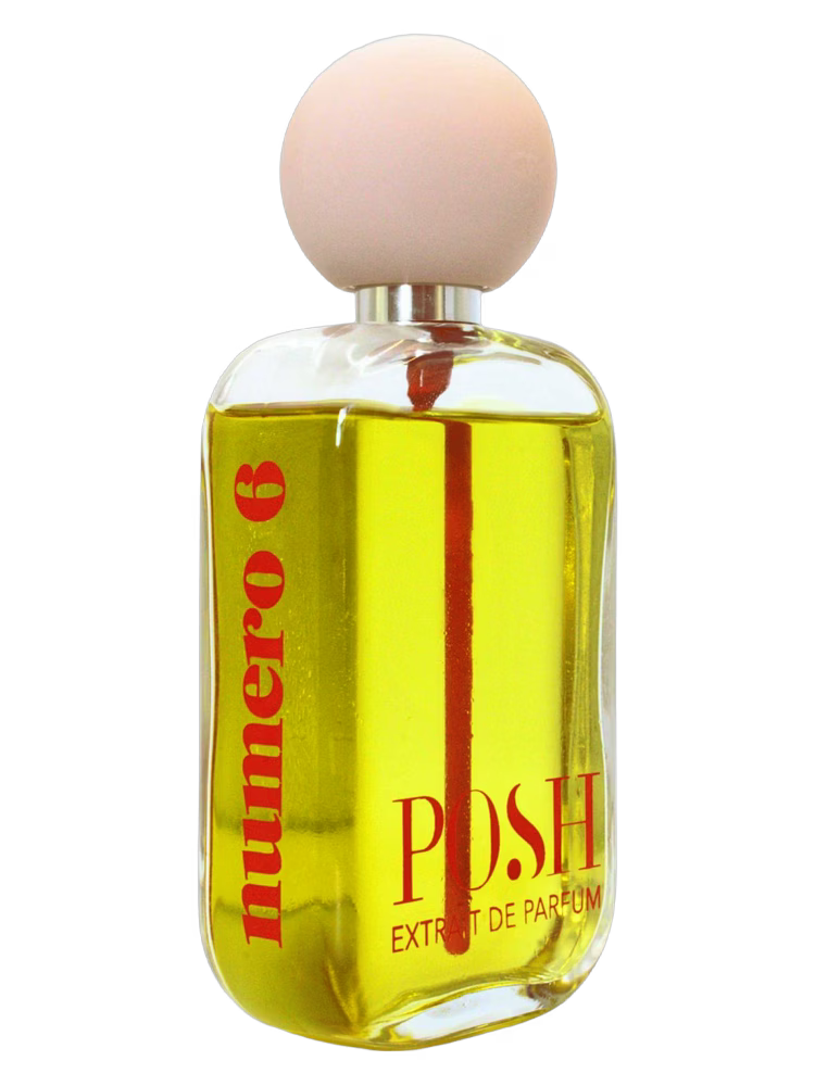 POSH NUMERO 6